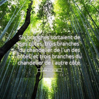 Picture 05 - Exode 37:18 LSG - Six branches sortaient de ses côtés, trois - Bible Verse Picture