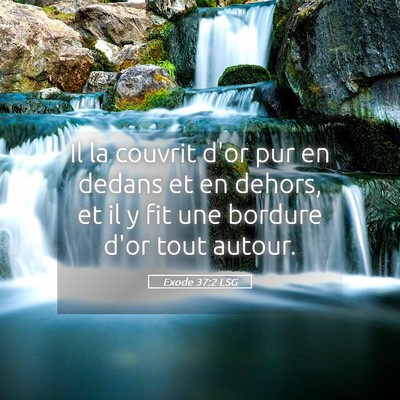 Picture 05 - Exode 37:2 LSG - Il la couvrit d'or pur en dedans et en dehors, et - Bible Verse Picture