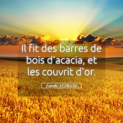 Picture 05 - Exode 37:28 LSG - Il fit des barres de bois d'acacia, et les - Bible Verse Picture