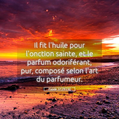 Picture 05 - Exode 37:29 LSG - Il fit l'huile pour l'onction sainte, et le - Bible Verse Picture