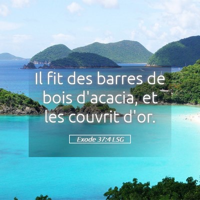 Picture 05 - Exode 37:4 LSG - Il fit des barres de bois d'acacia, et les - Bible Verse Picture