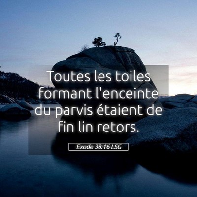 Picture 05 - Exode 38:16 LSG - Toutes les toiles formant l'enceinte du parvis - Bible Verse Picture