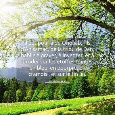 Picture 05 - Exode 38:23 LSG - il eut pour aide Oholiab, fils d'Ahisamac, de la - Bible Verse Picture