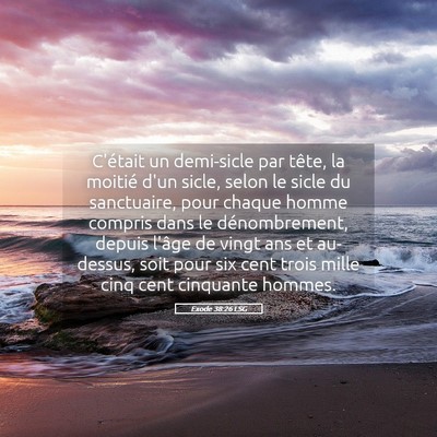 Picture 05 - Exode 38:26 LSG - C'était un demi-sicle par tête, la moitié d'un - Bible Verse Picture