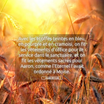 Picture 05 - Exode 39:1 LSG - Avec les étoffes teintes en bleu, en pourpre et - Bible Verse Picture
