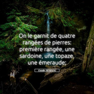 Picture 05 - Exode 39:10 LSG - On le garnit de quatre rangées de pierres: - Bible Verse Picture