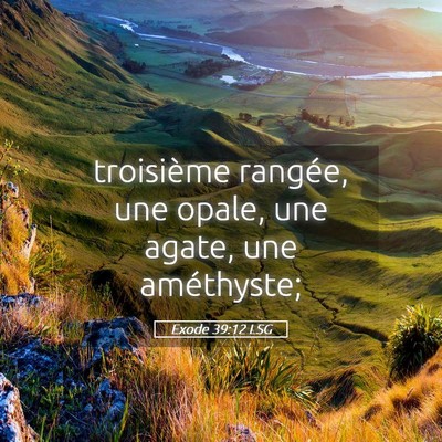 Picture 05 - Exode 39:12 LSG - troisième rangée, une opale, une agate, une - Bible Verse Picture