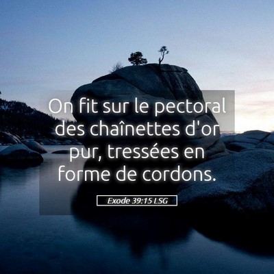 Picture 05 - Exode 39:15 LSG - On fit sur le pectoral des chaînettes d'or pur, - Bible Verse Picture