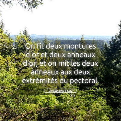 Picture 05 - Exode 39:16 LSG - On fit deux montures d'or et deux anneaux d'or, - Bible Verse Picture
