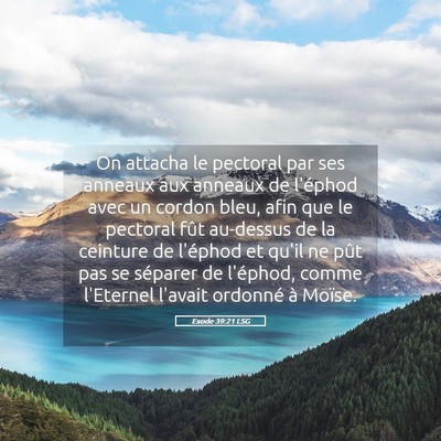 Picture 05 - Exode 39:21 LSG - On attacha le pectoral par ses anneaux aux - Bible Verse Picture