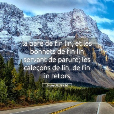 Picture 05 - Exode 39:28 LSG - la tiare de fin lin, et les bonnets de fin lin - Bible Verse Picture