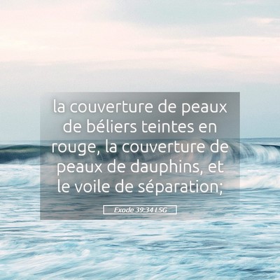 Picture 05 - Exode 39:34 LSG - la couverture de peaux de béliers teintes en - Bible Verse Picture