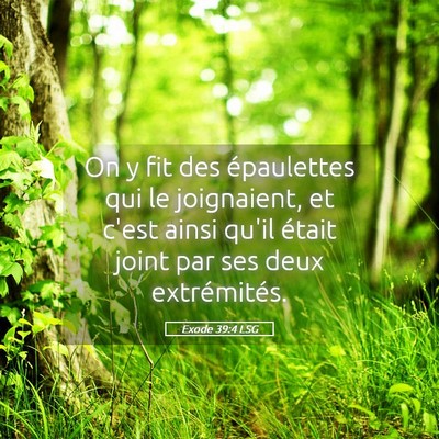 Picture 05 - Exode 39:4 LSG - On y fit des épaulettes qui le joignaient, et - Bible Verse Picture