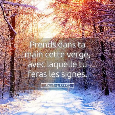 Picture 05 - Exode 4:17 LSG - Prends dans ta main cette verge, avec laquelle tu - Bible Verse Picture