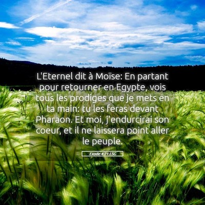 Picture 05 - Exode 4:21 LSG - L'Eternel dit à Moïse: En partant pour - Bible Verse Picture