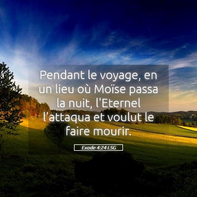 Picture 05 - Exode 4:24 LSG - Pendant le voyage, en un lieu où Moïse passa la - Bible Verse Picture