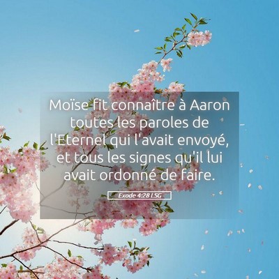 Picture 05 - Exode 4:28 LSG - Moïse fit connaître à Aaron toutes les paroles - Bible Verse Picture
