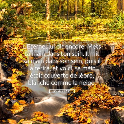 Picture 05 - Exode 4:6 LSG - L'Eternel lui dit encore: Mets ta main dans ton - Bible Verse Picture