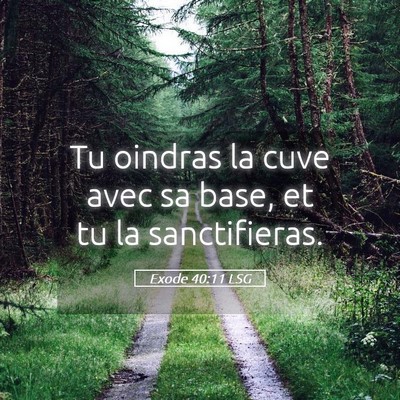 Picture 05 - Exode 40:11 LSG - Tu oindras la cuve avec sa base, et tu la - Bible Verse Picture