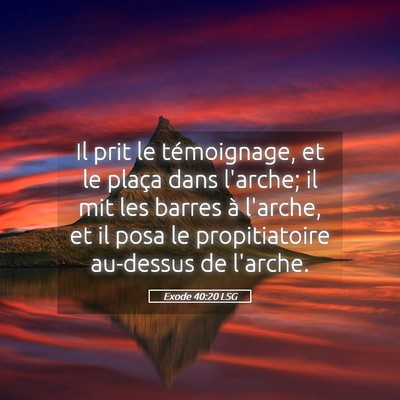 Picture 05 - Exode 40:20 LSG - Il prit le témoignage, et le plaça dans - Bible Verse Picture