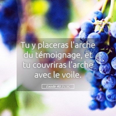 Picture 05 - Exode 40:3 LSG - Tu y placeras l'arche du témoignage, et tu - Bible Verse Picture