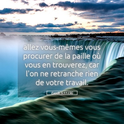 Picture 05 - Exode 5:11 LSG - allez vous-mêmes vous procurer de la paille où - Bible Verse Picture