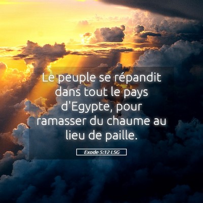 Picture 05 - Exode 5:12 LSG - Le peuple se répandit dans tout le pays - Bible Verse Picture