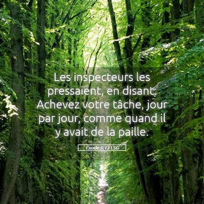 Picture 05 - Exode 5:13 LSG - Les inspecteurs les pressaient, en disant: - Bible Verse Picture