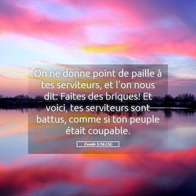 Picture 05 - Exode 5:16 LSG - On ne donne point de paille à tes serviteurs, et - Bible Verse Picture