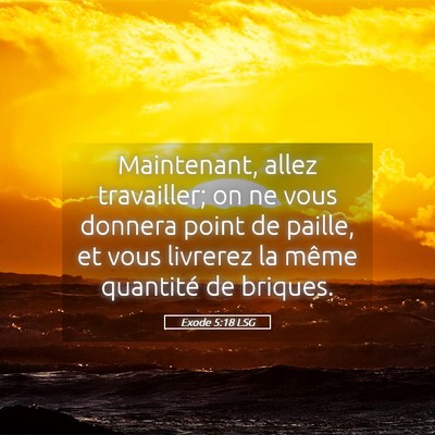 Picture 05 - Exode 5:18 LSG - Maintenant, allez travailler; on ne vous donnera - Bible Verse Picture