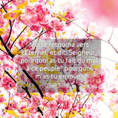 Picture 05 - Exode 5:22 LSG - Moïse retourna vers l'Eternel, et dit: Seigneur, - Bible Verse Picture