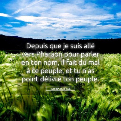 Picture 05 - Exode 5:23 LSG - Depuis que je suis allé vers Pharaon pour parler - Bible Verse Picture