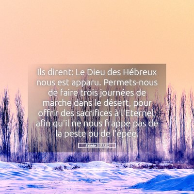 Picture 05 - Exode 5:3 LSG - Ils dirent: Le Dieu des Hébreux nous est apparu. - Bible Verse Picture