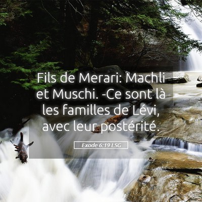Picture 05 - Exode 6:19 LSG - Fils de Merari: Machli et Muschi. -Ce sont là - Bible Verse Picture