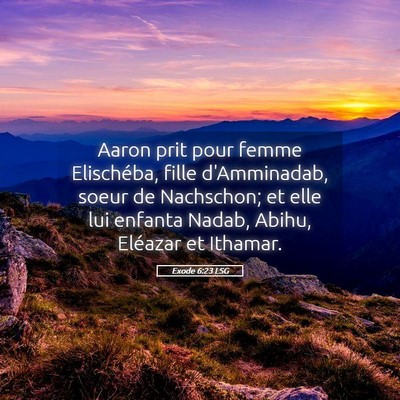 Picture 05 - Exode 6:23 LSG - Aaron prit pour femme Elischéba, fille - Bible Verse Picture
