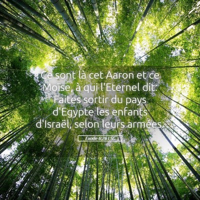 Picture 05 - Exode 6:26 LSG - Ce sont là cet Aaron et ce Moïse, à qui - Bible Verse Picture