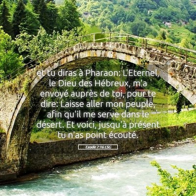 Picture 05 - Exode 7:16 LSG - et tu diras à Pharaon: L'Eternel, le Dieu des - Bible Verse Picture