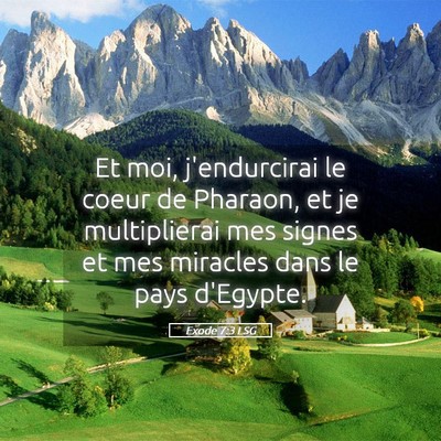 Picture 05 - Exode 7:3 LSG - Et moi, j'endurcirai le coeur de Pharaon, et je - Bible Verse Picture