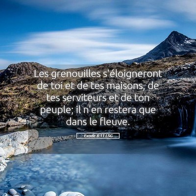 Picture 05 - Exode 8:11 LSG - Les grenouilles s'éloigneront de toi et de tes - Bible Verse Picture