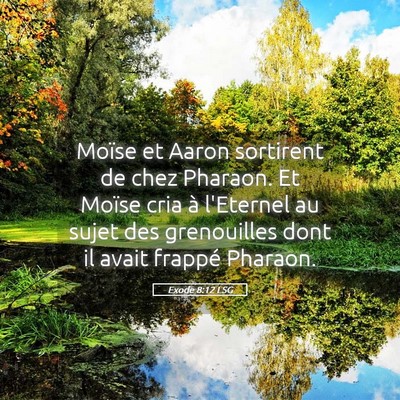 Picture 05 - Exode 8:12 LSG - Moïse et Aaron sortirent de chez Pharaon. Et - Bible Verse Picture