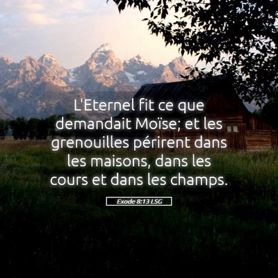 Picture 05 - Exode 8:13 LSG - L'Eternel fit ce que demandait Moïse; et les - Bible Verse Picture