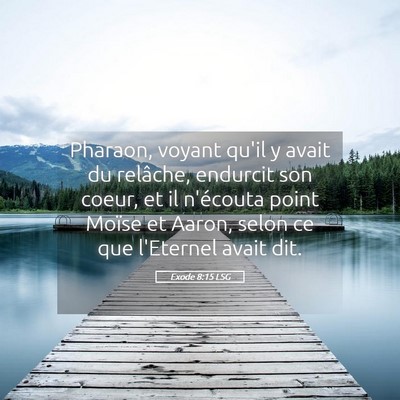 Picture 05 - Exode 8:15 LSG - Pharaon, voyant qu'il y avait du relâche, - Bible Verse Picture