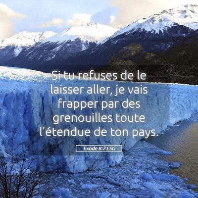 Picture 05 - Exode 8:2 LSG - Si tu refuses de le laisser aller, je vais - Bible Verse Picture