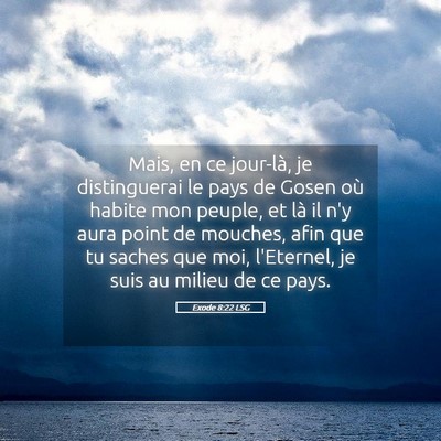 Picture 05 - Exode 8:22 LSG - Mais, en ce jour-là, je distinguerai le pays de - Bible Verse Picture