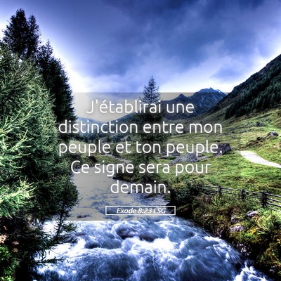 Picture 05 - Exode 8:23 LSG - J'établirai une distinction entre mon peuple et - Bible Verse Picture