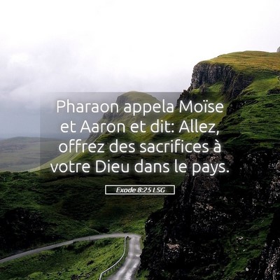 Picture 05 - Exode 8:25 LSG - Pharaon appela Moïse et Aaron et dit: Allez, - Bible Verse Picture