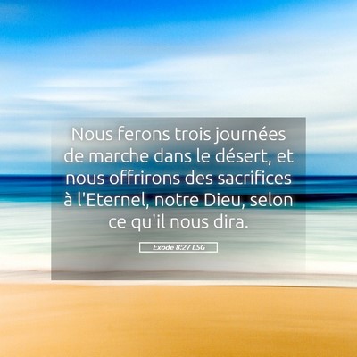 Picture 05 - Exode 8:27 LSG - Nous ferons trois journées de marche dans le - Bible Verse Picture