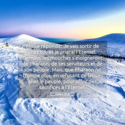 Picture 05 - Exode 8:29 LSG - Moïse répondit: Je vais sortir de chez toi, et - Bible Verse Picture