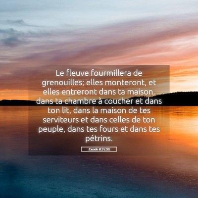 Picture 05 - Exode 8:3 LSG - Le fleuve fourmillera de grenouilles; elles - Bible Verse Picture