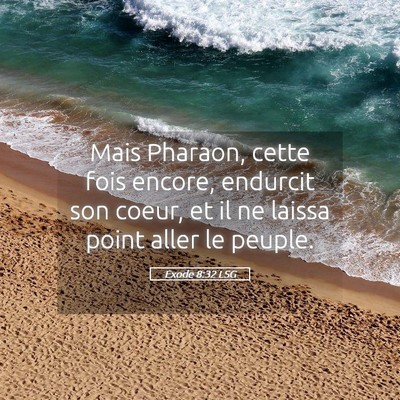 Picture 05 - Exode 8:32 LSG - Mais Pharaon, cette fois encore, endurcit son - Bible Verse Picture